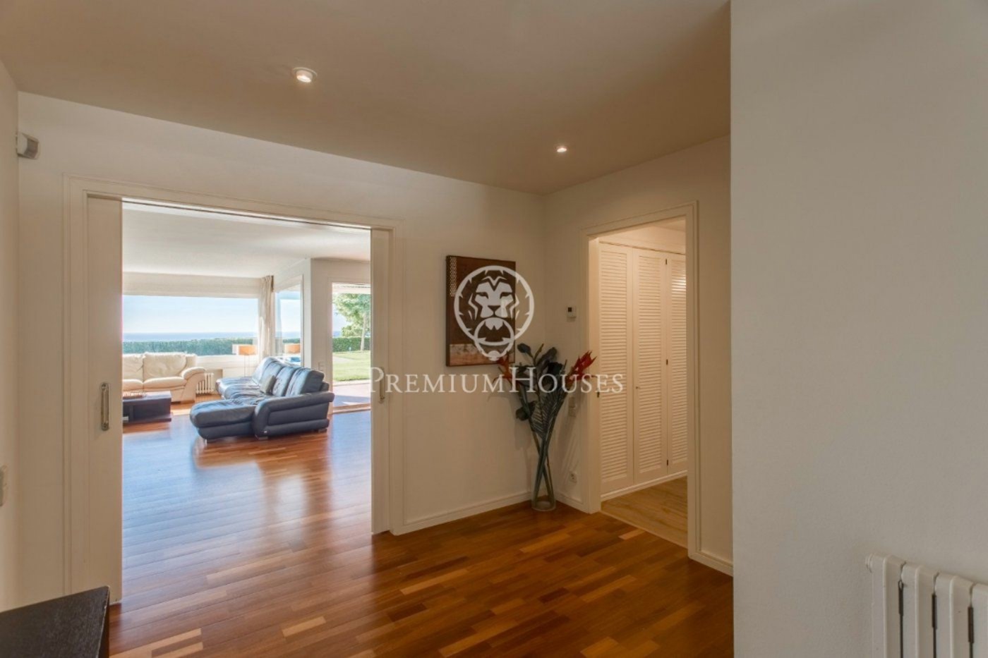 246-22-61932046215582026.jpg