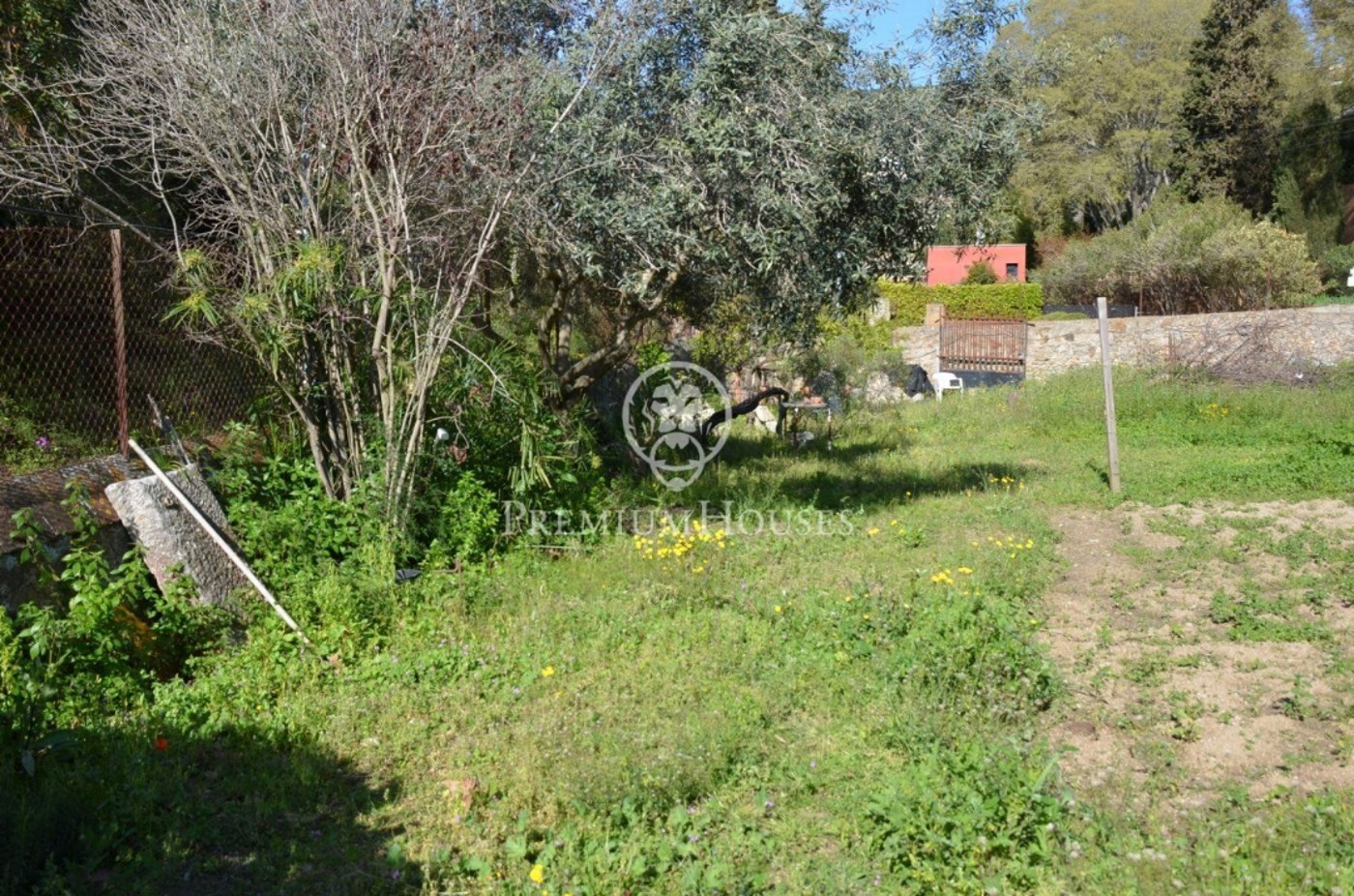246-5-571705509131222024.jpg