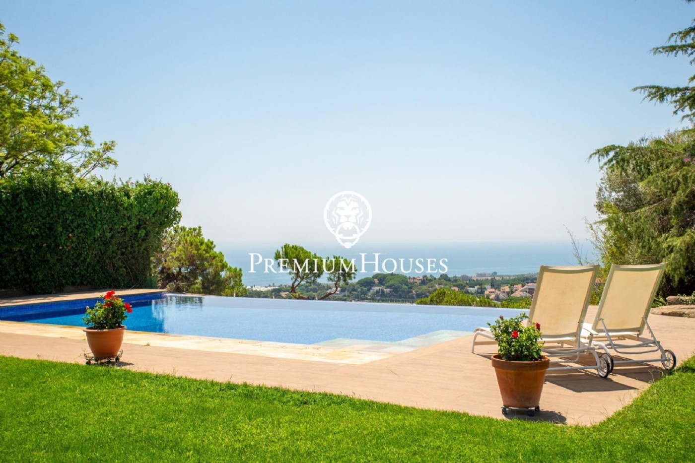 246-5-60863312314582026.jpg