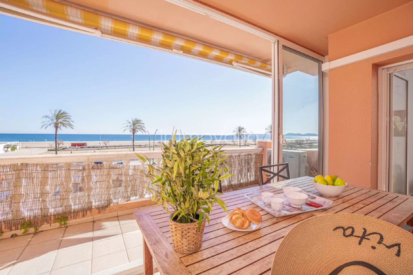 242-3-60459248682492026.jpg