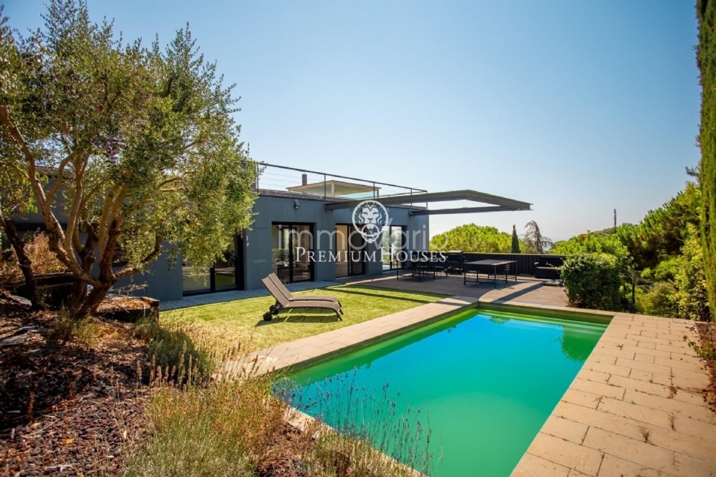 246-2-620475313081882026.jpg