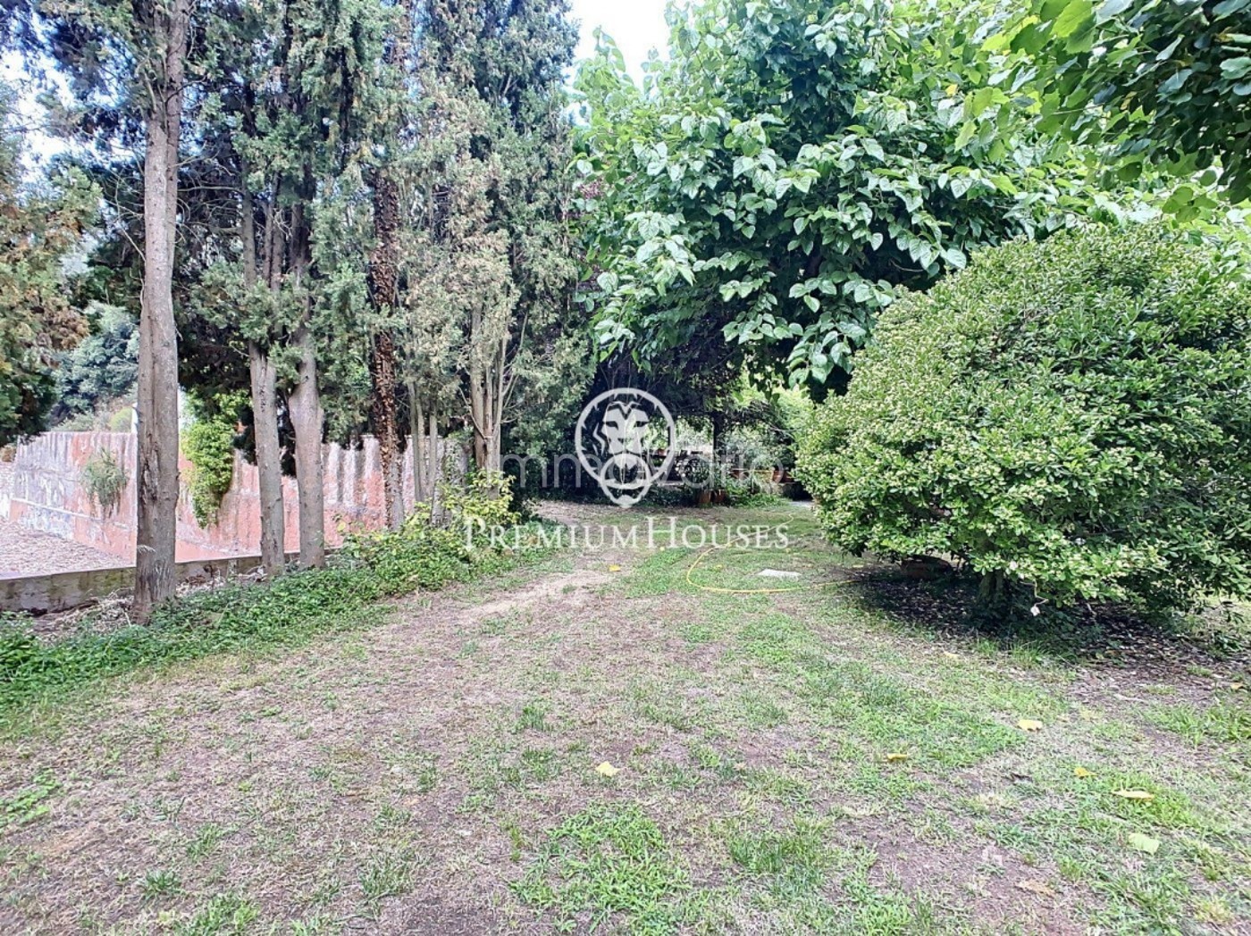 246-39-5465803620101052025.jpg