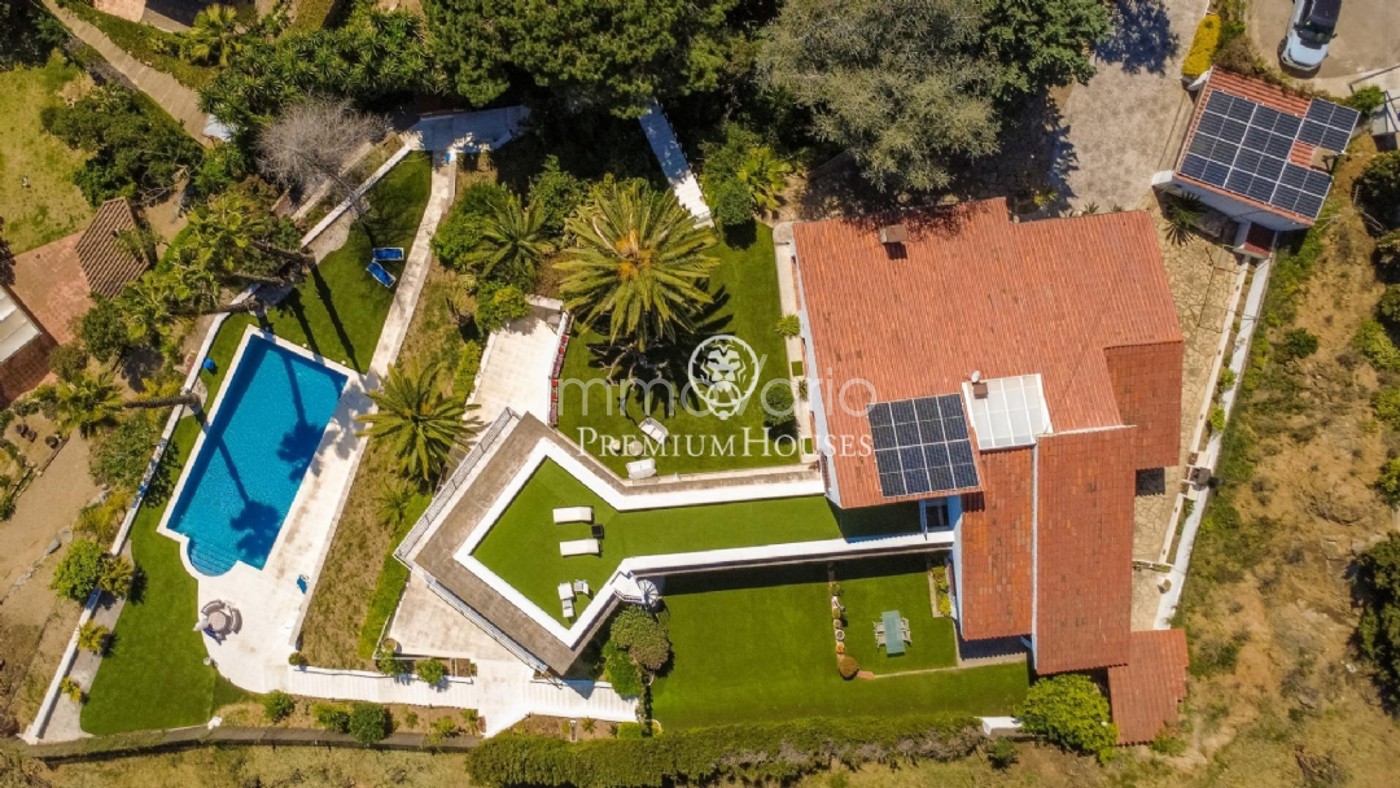 246-44-6182053715582026.jpg