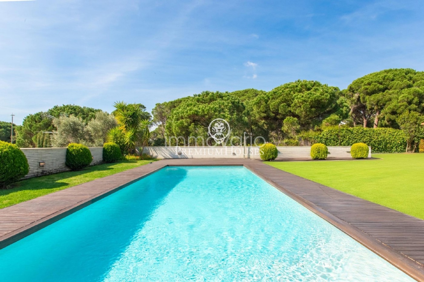 246-57-61698850209752026.jpg