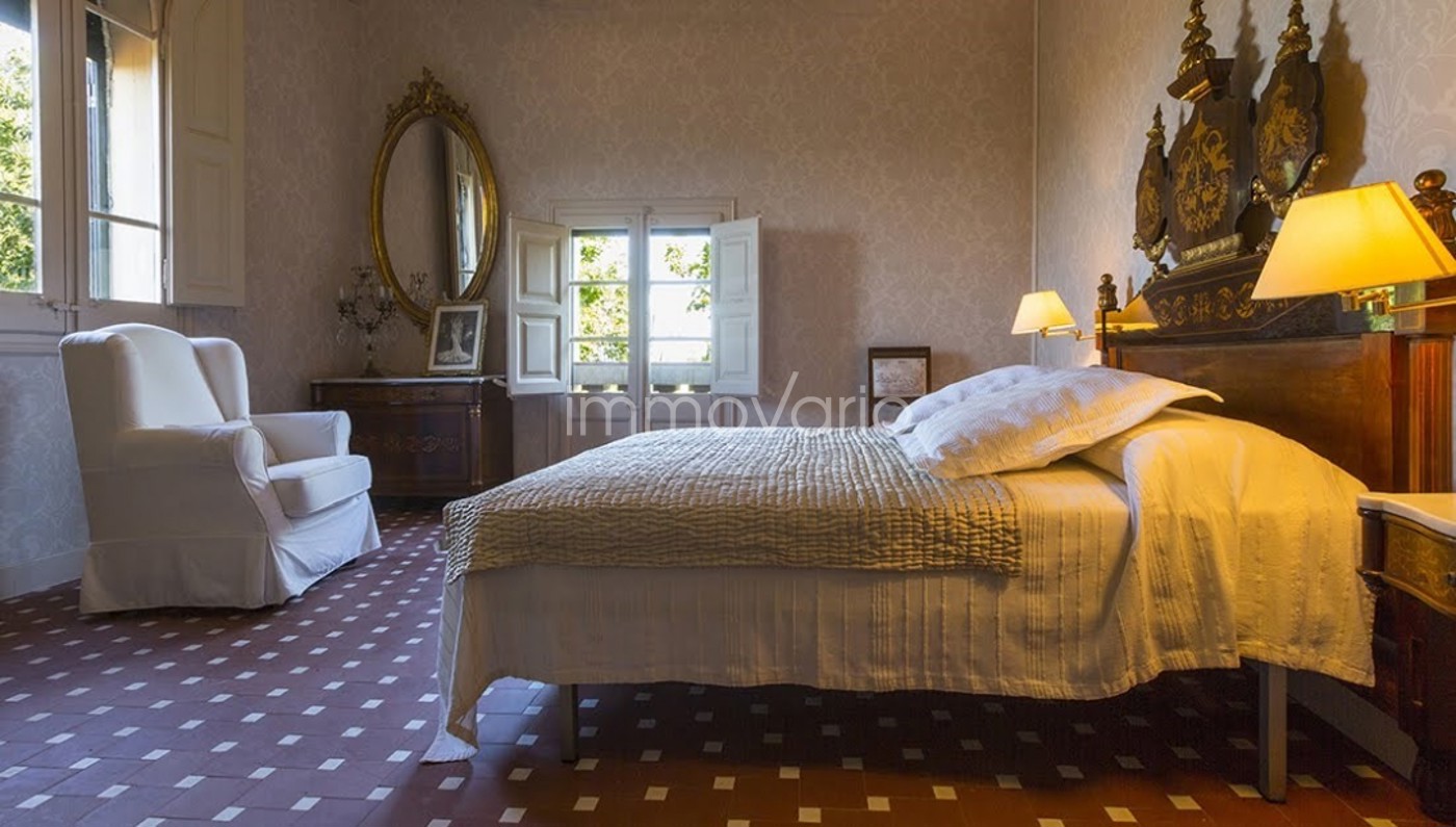 247-21-46840226642292026.jpg