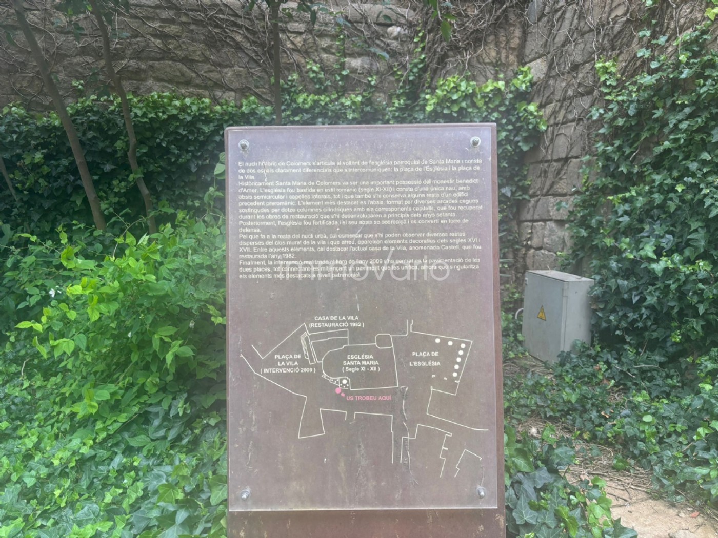 30-61858757291095202621.jpg