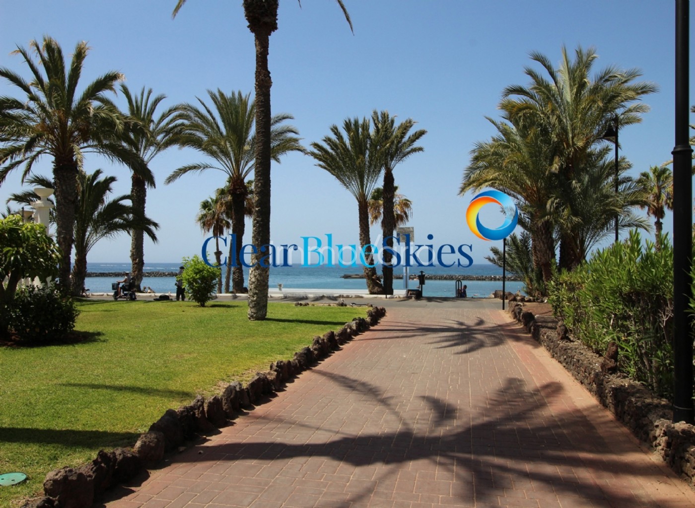 413-19-61554974111882026.jpg