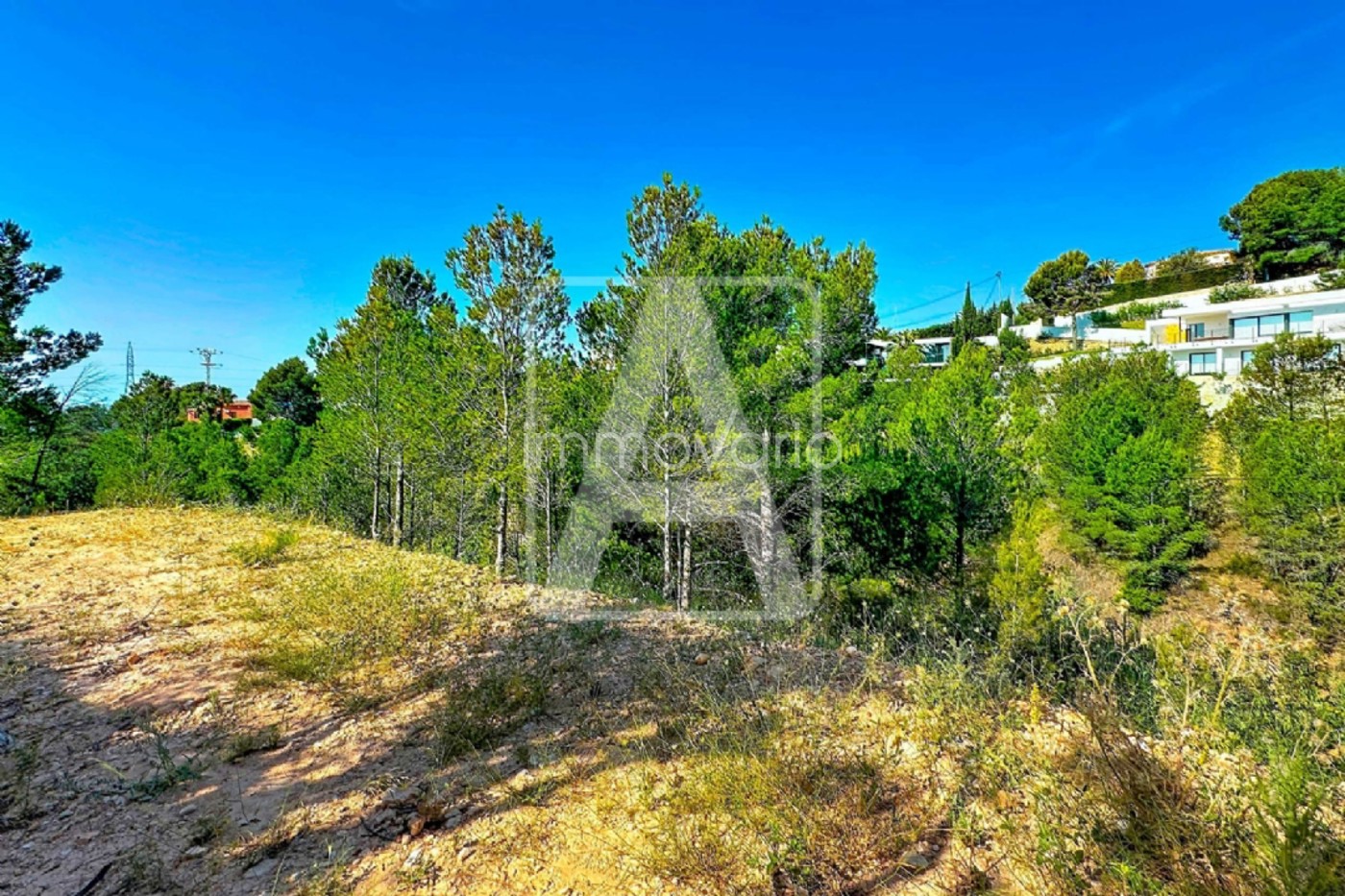 415-20-6211175940151992026.jpg