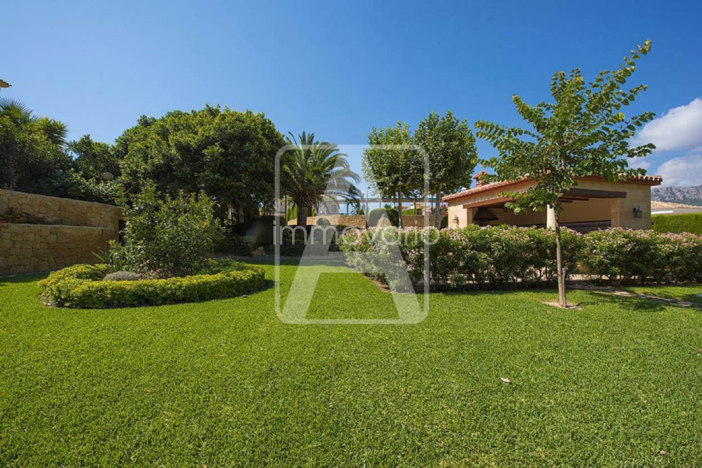 415-41-5869612124141992026.jpg