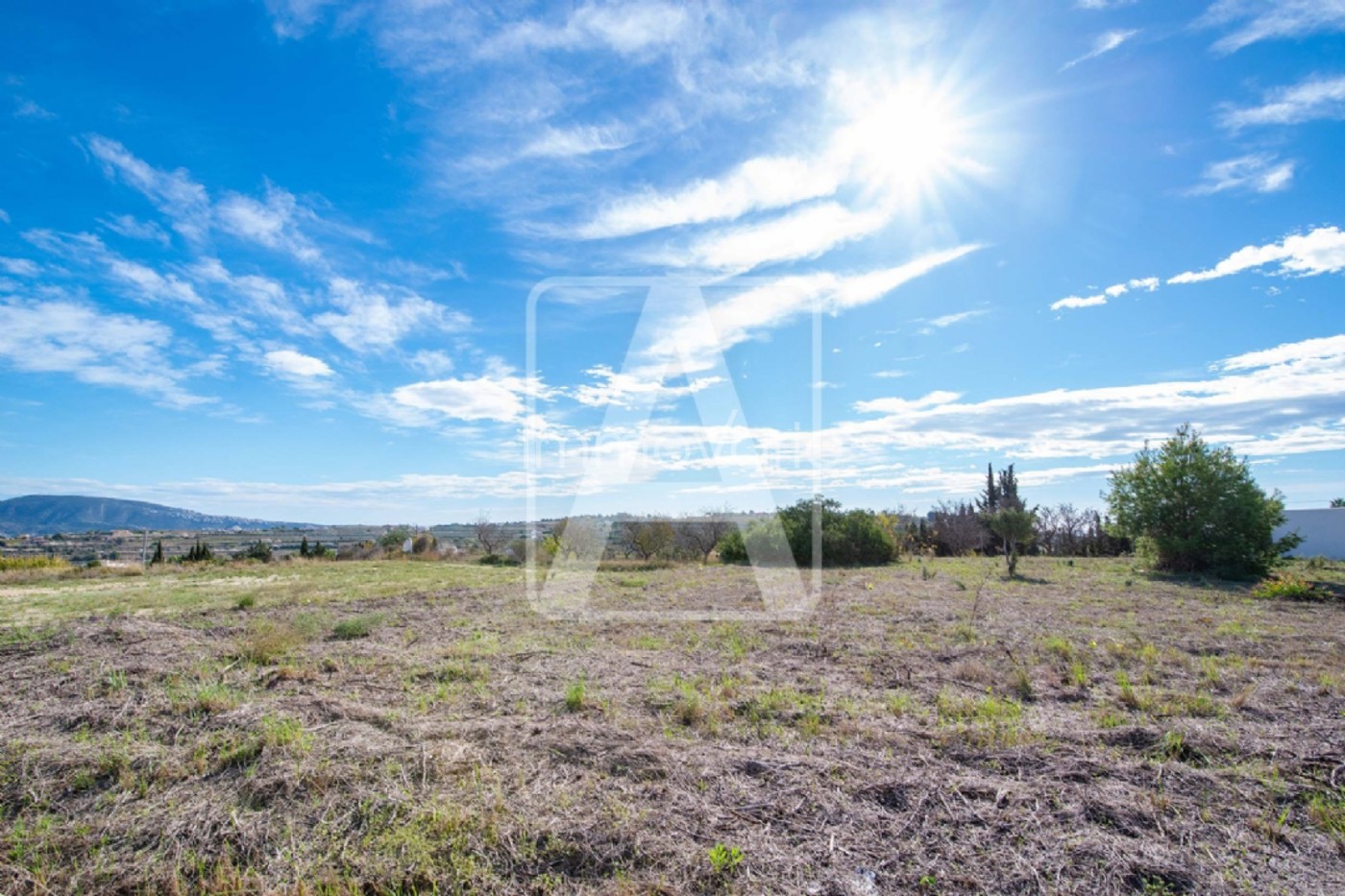 415-9-612393177132082026.jpg
