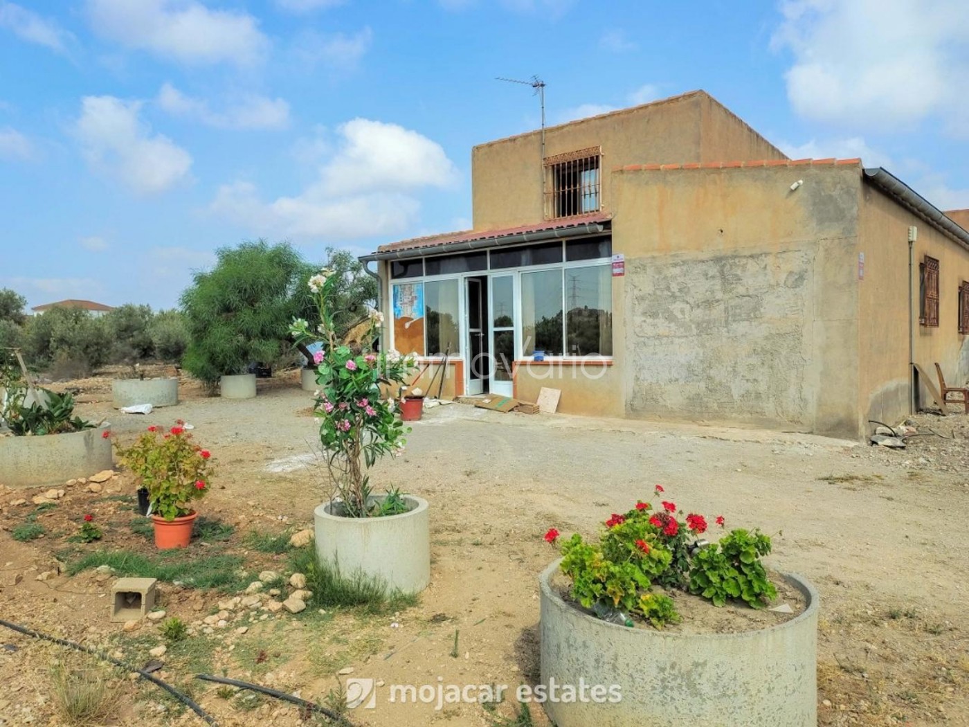 446-19-619750190103062026.jpg