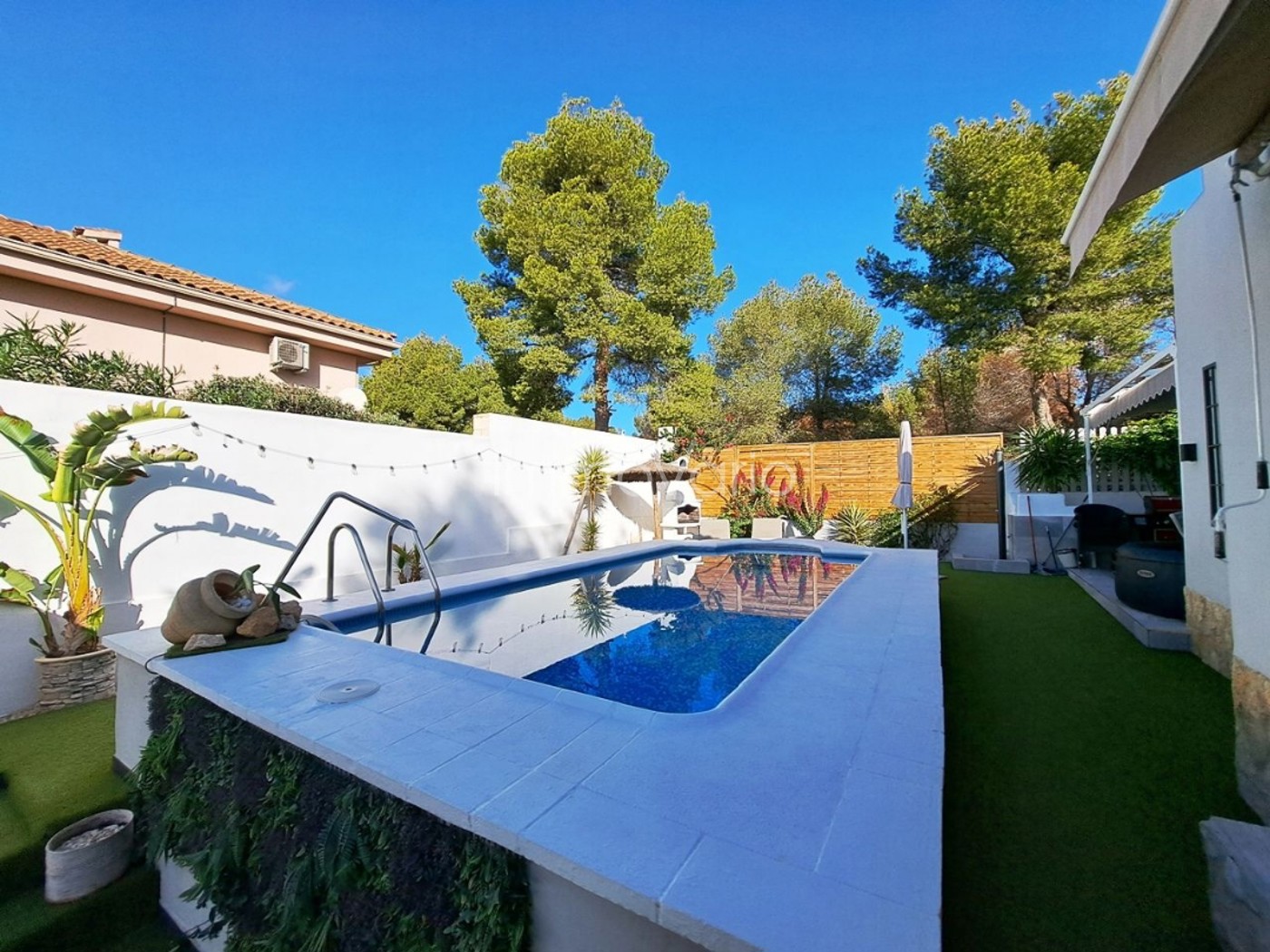 483-8-6031951210162672026.jpg