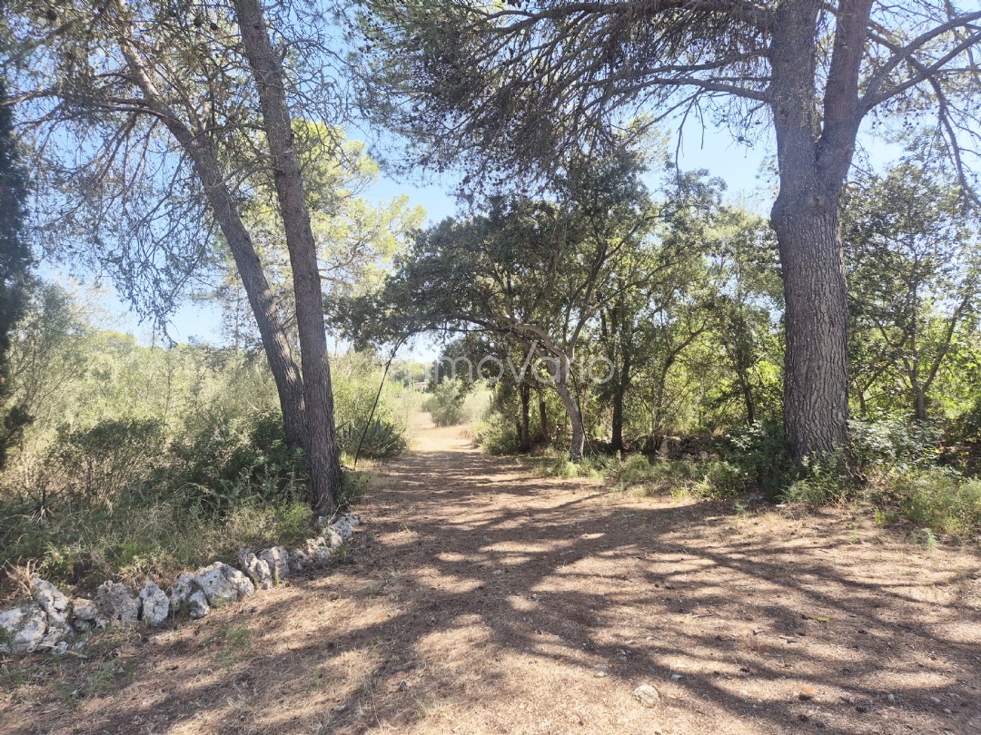 550-17-608498173616492025.jpg