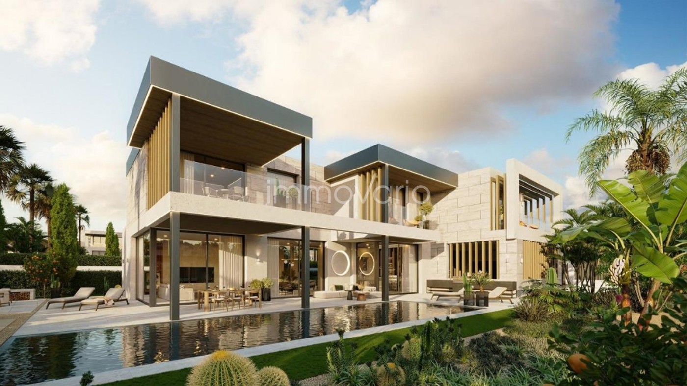565-1-62215093159102026.jpg