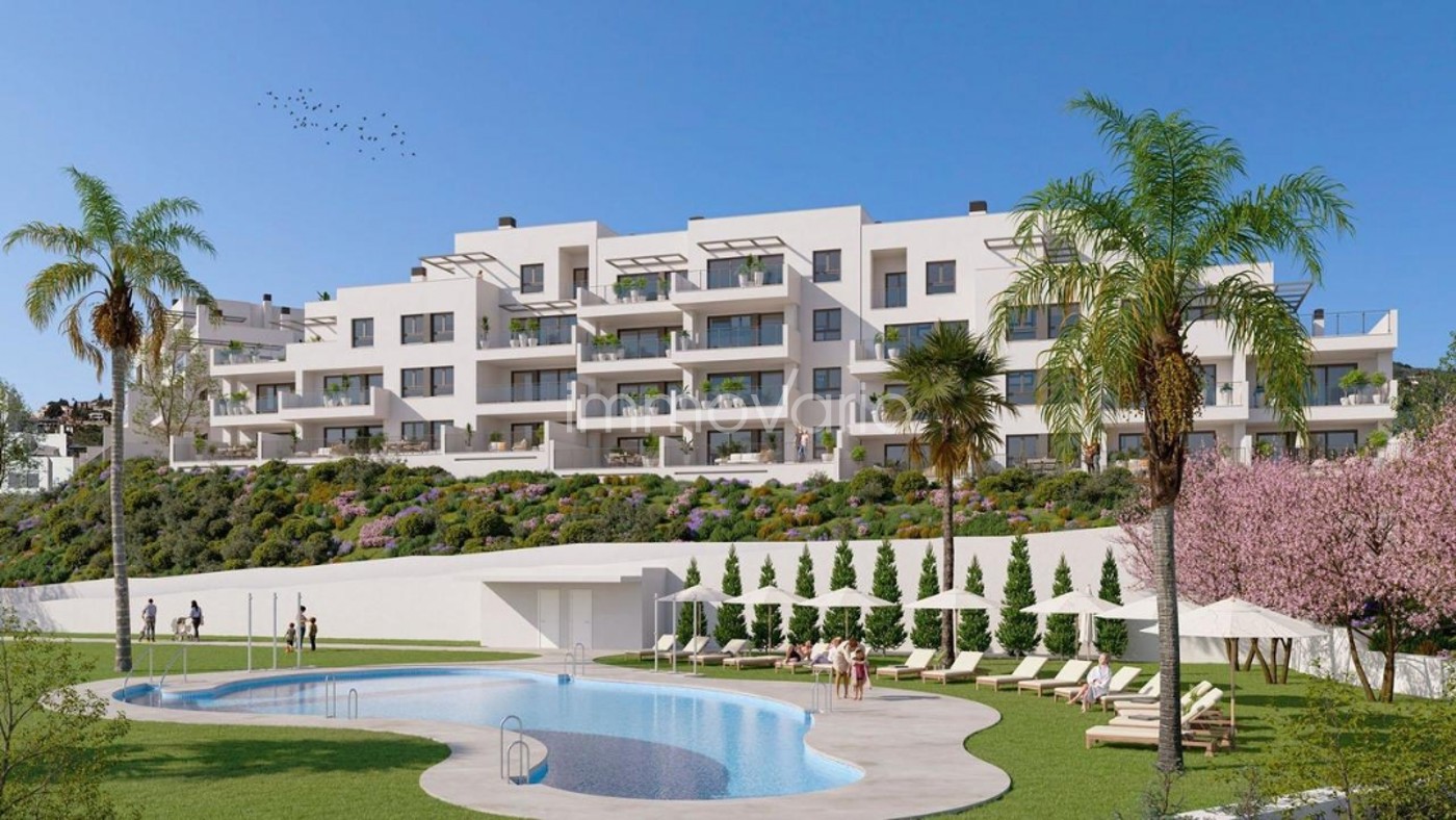 565-2-61947535692782026.jpg