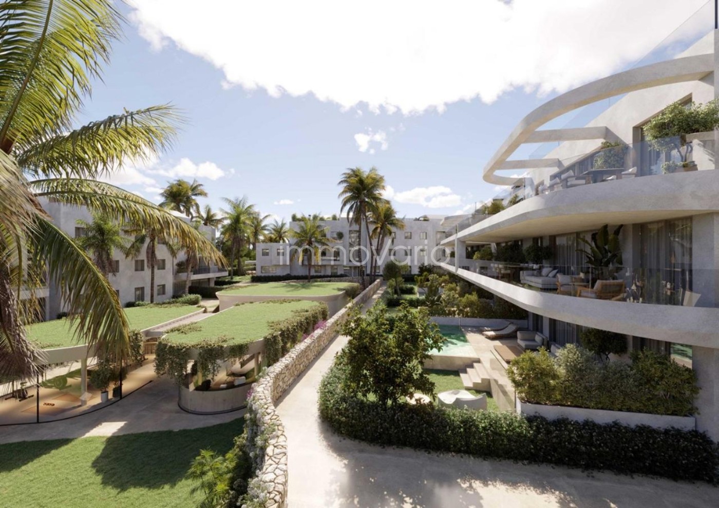 565-2-6214441843122792026.jpg