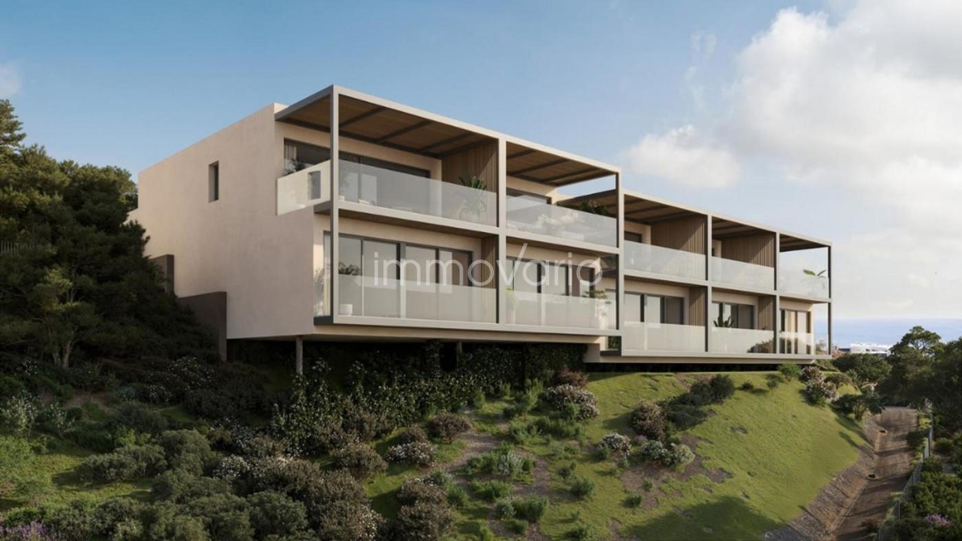 565-3-6214333038122792026.jpg