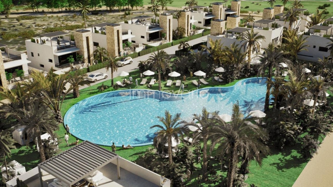 565-4-617504236122782026.jpg