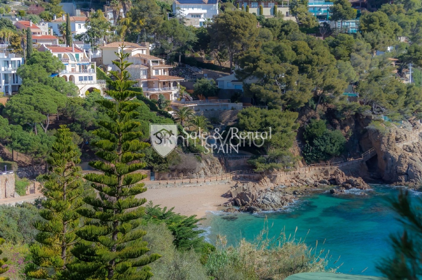 600-1-59374892742692026.jpg