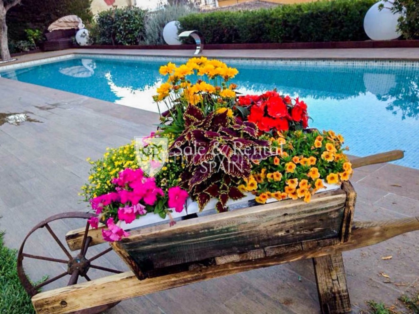 600-58-4979422332102852026.jpg