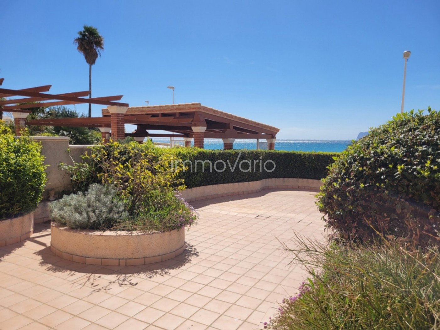 601-27-61759625582692026.jpg
