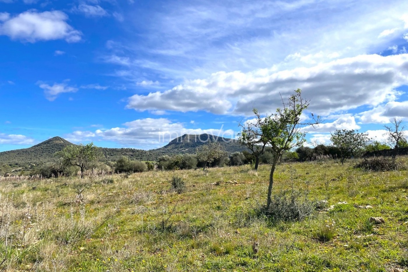602-6-5945169410682026.jpg