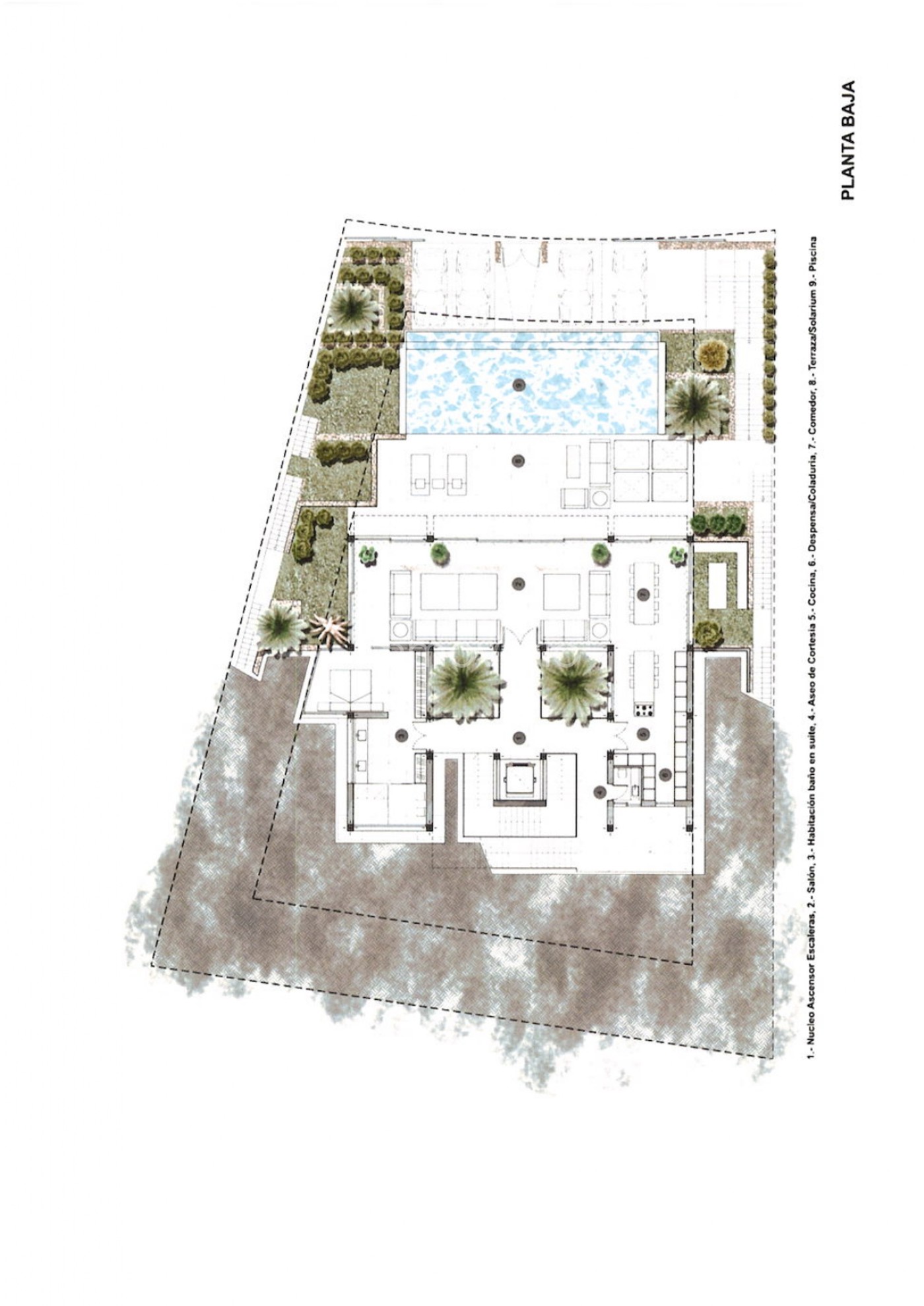602-9-499962422110682026.jpg