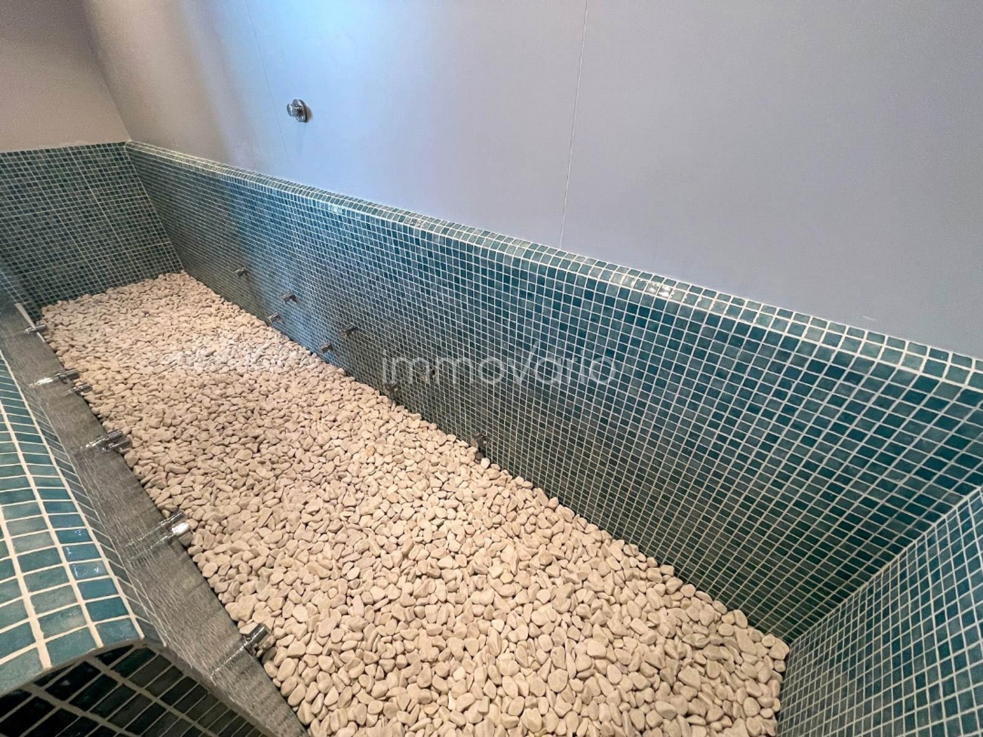 606-78-617573241921882026.jpg