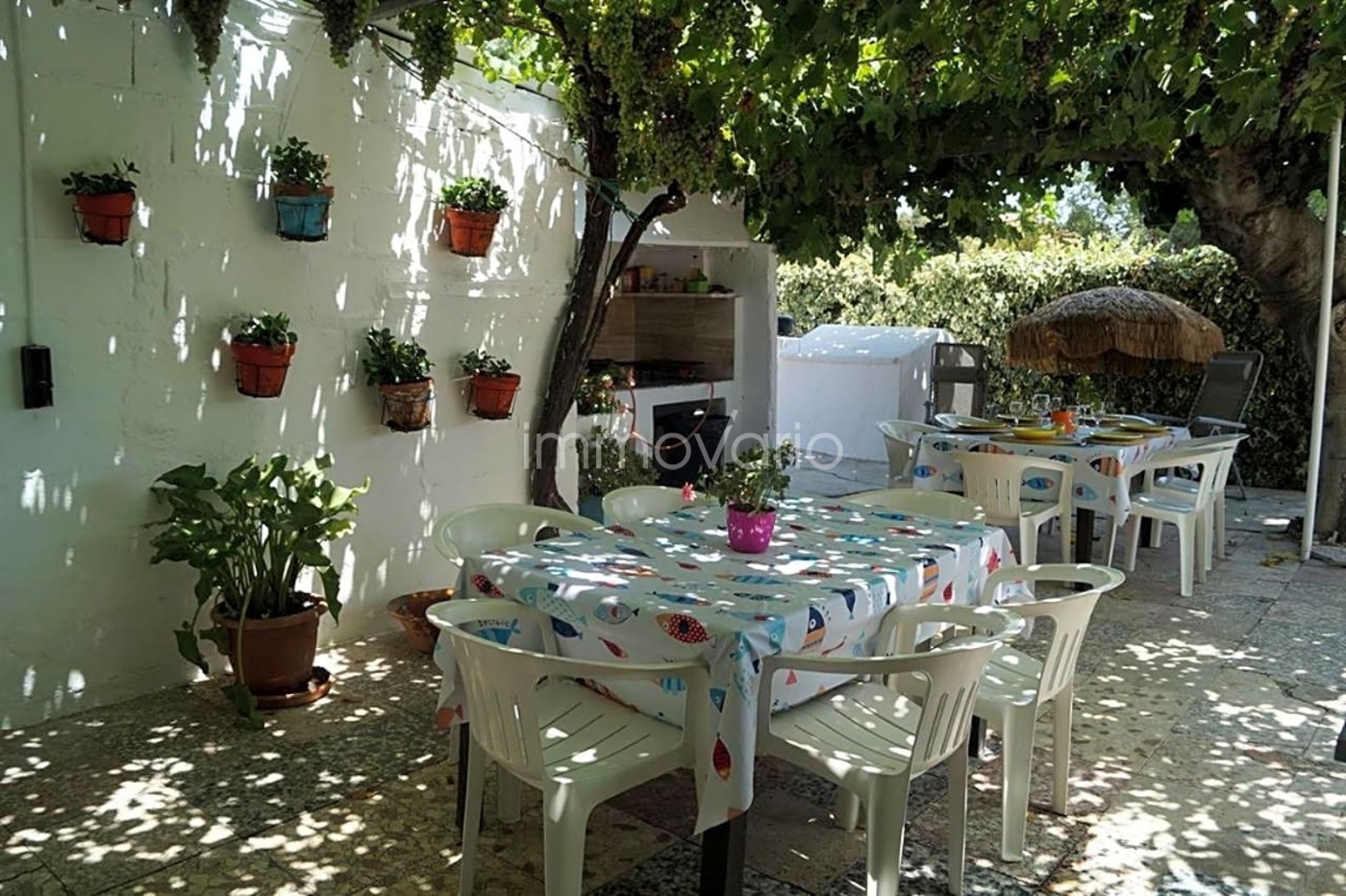 624-3-5558202915822102026.jpg