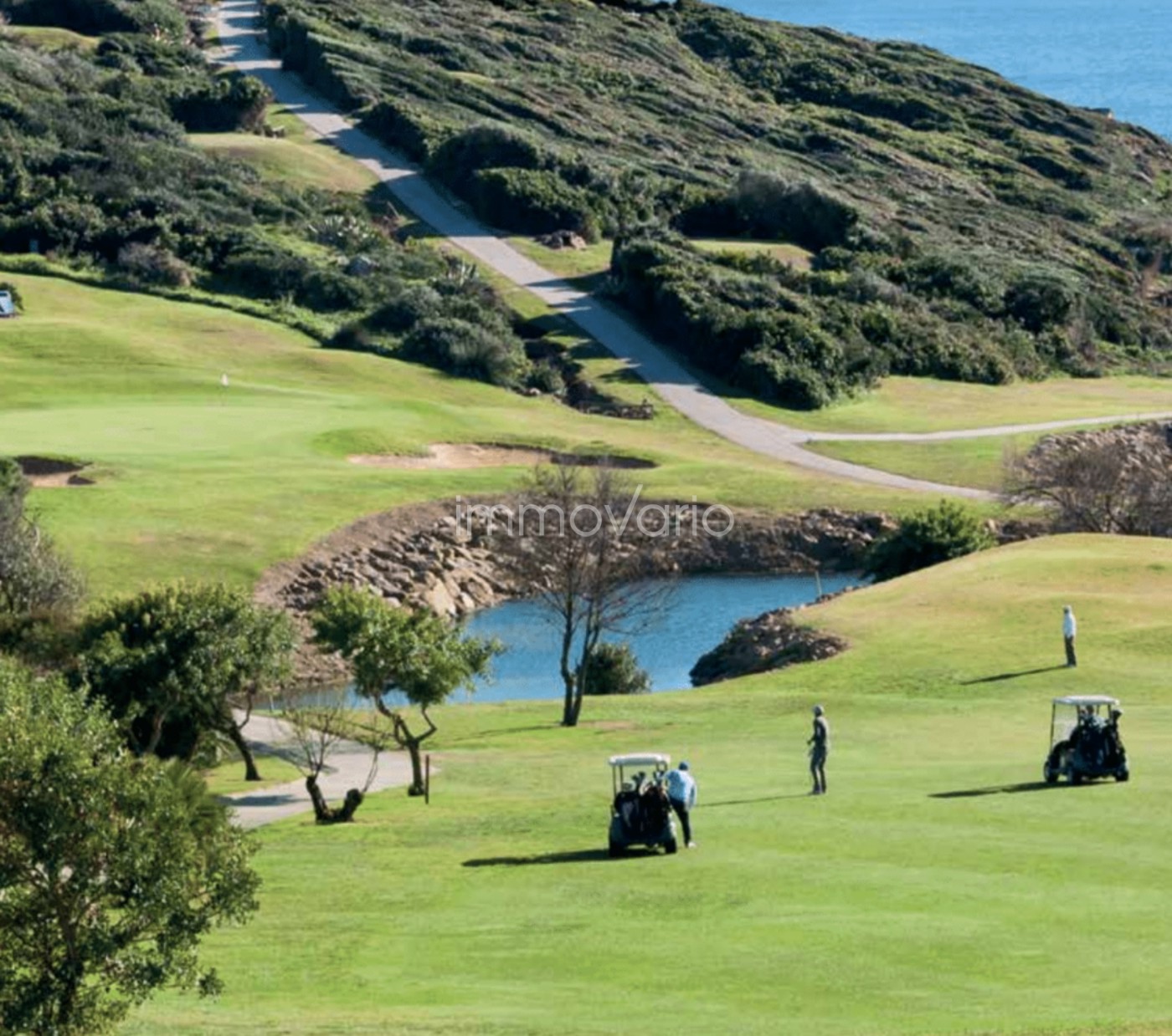 626-15-607537282810782026.jpg