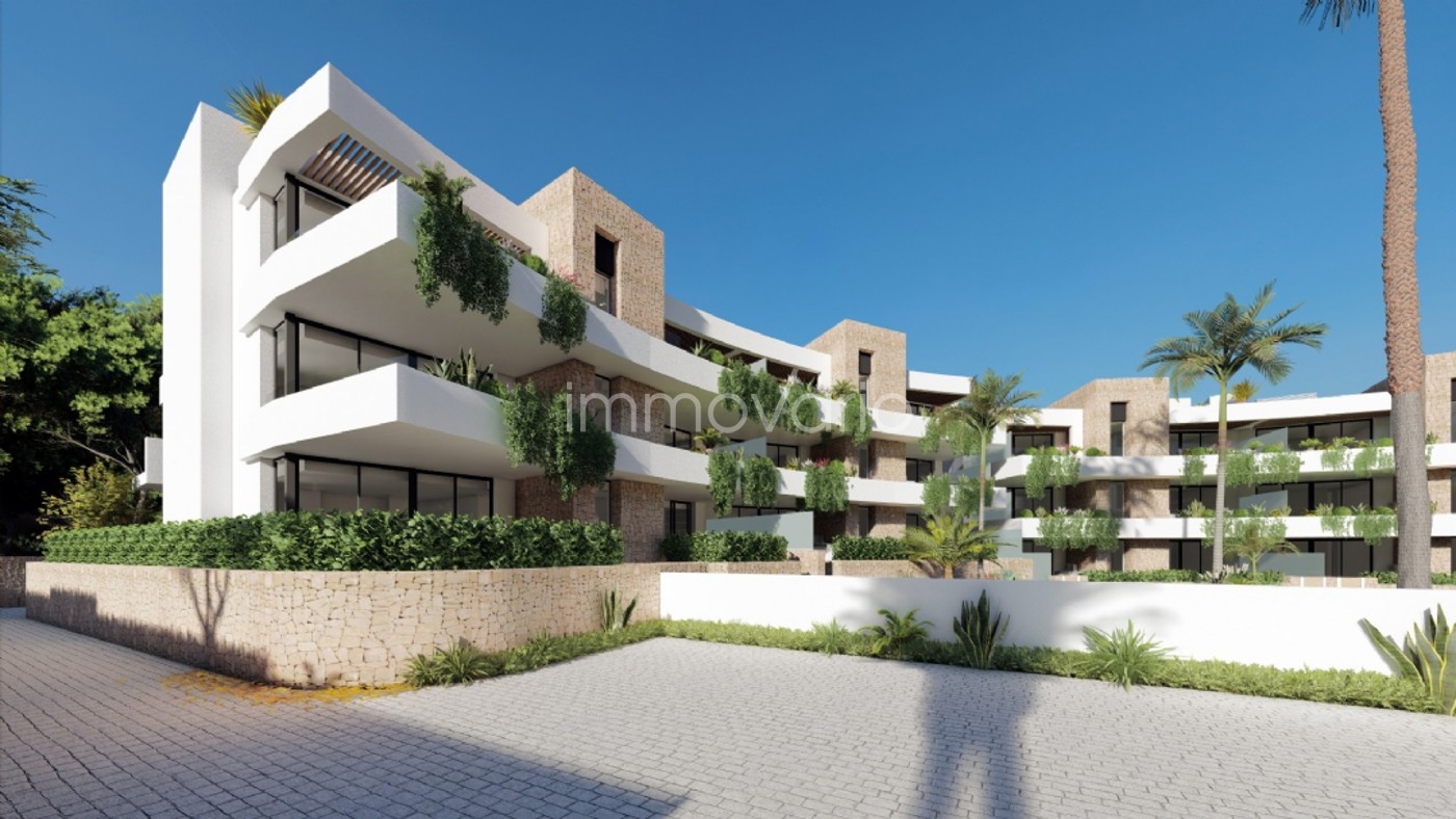 626-4-58591418568782026.jpg