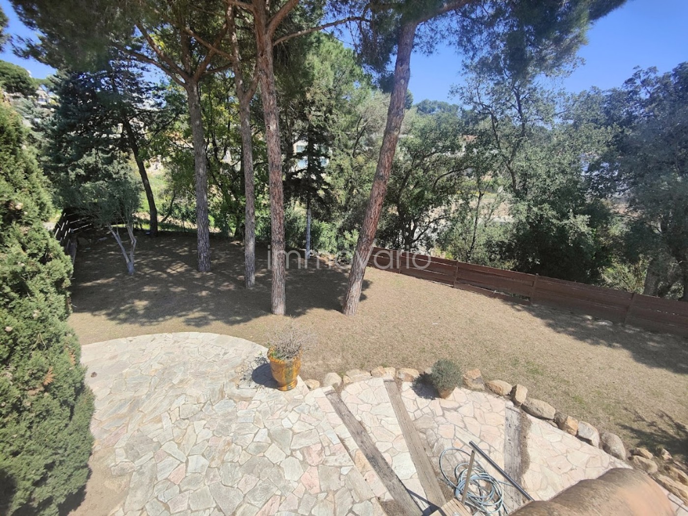 628-60663591416652025878.jpg