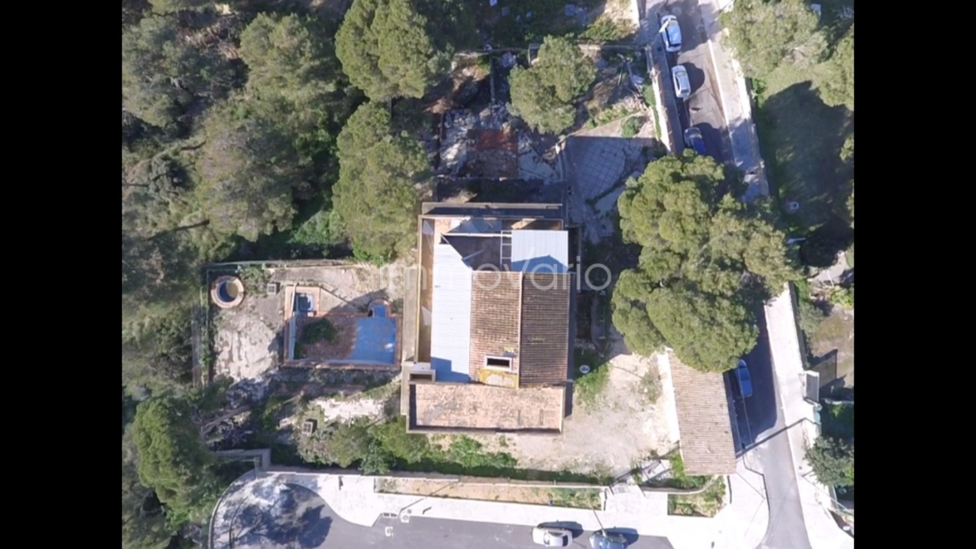 638-1-576029523514752026.jpg