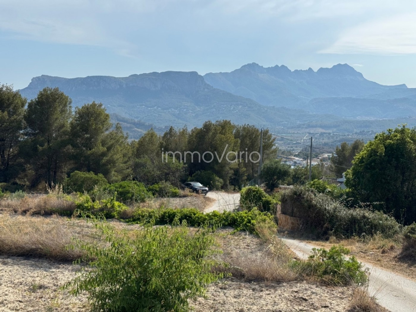 654-1-608176452562052026.jpg