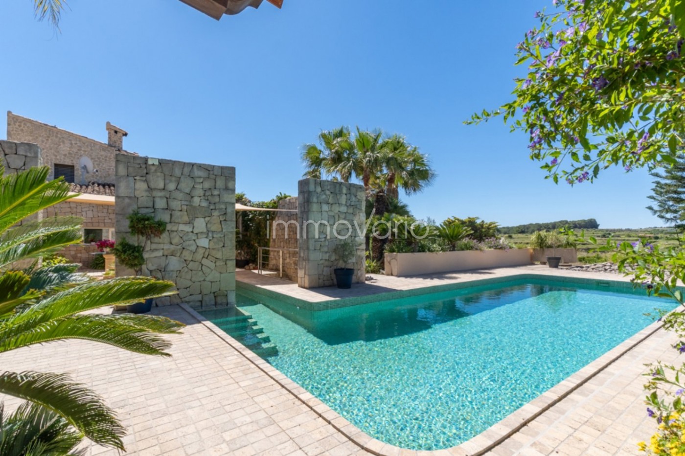 654-11-6194302913121882026.jpg
