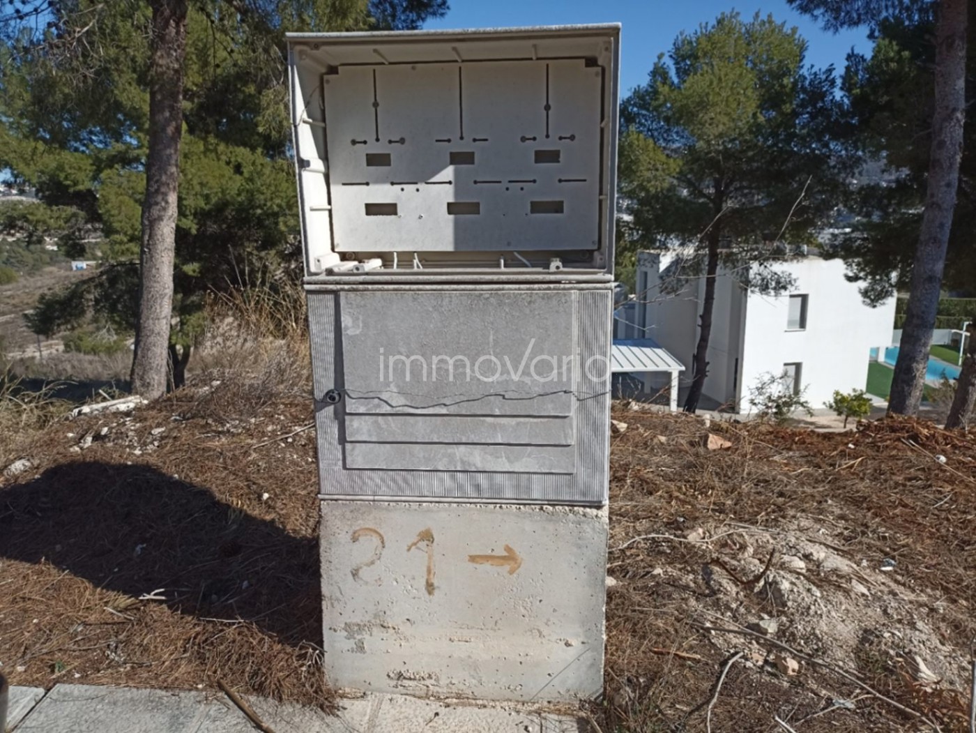 654-43-586777592121882026.jpg