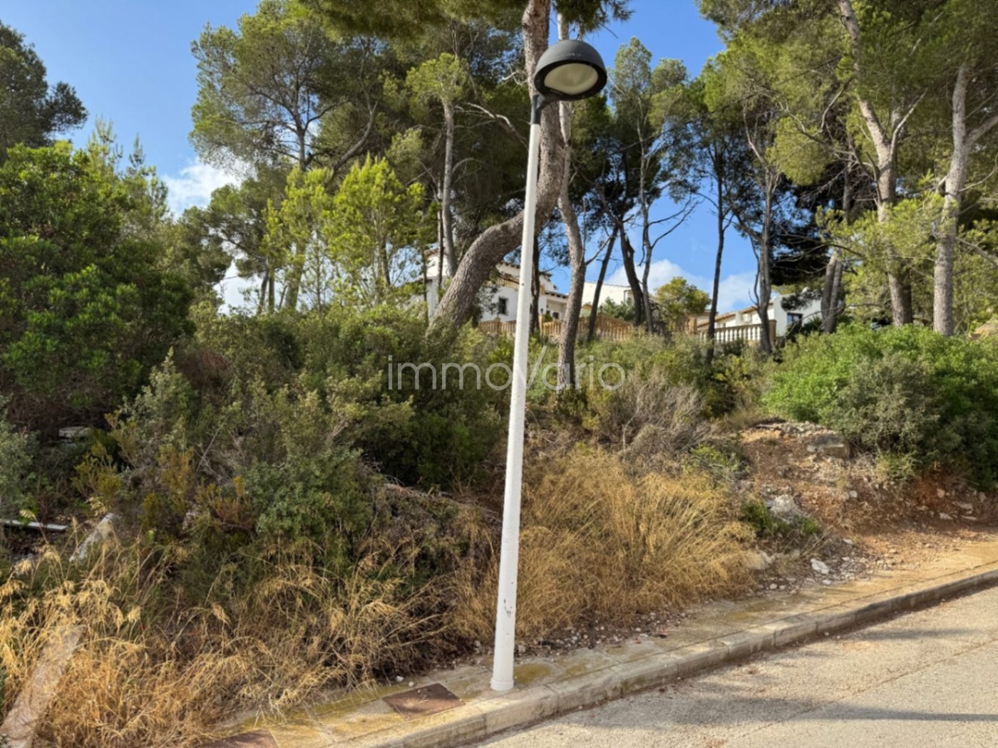 654-7-60869257121882026.jpg
