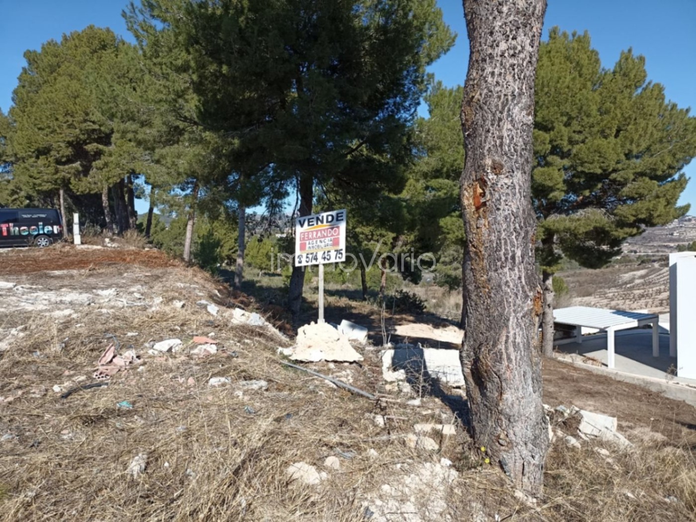 654-9-586777540122352025.jpg