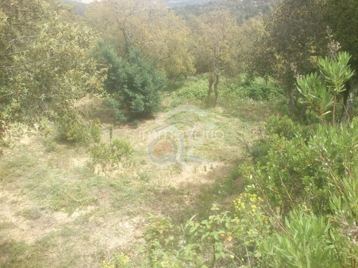 84-2-539611201341882026.jpg