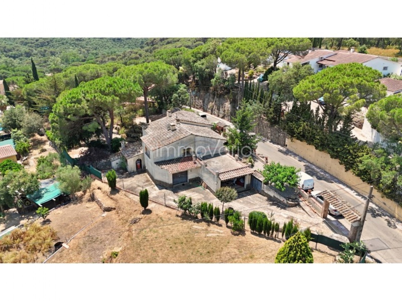 84-34-60747112981752026.jpg