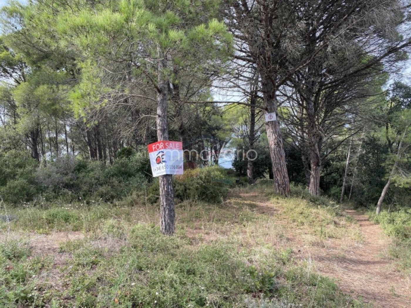 84-5-5639904040161492026.jpg